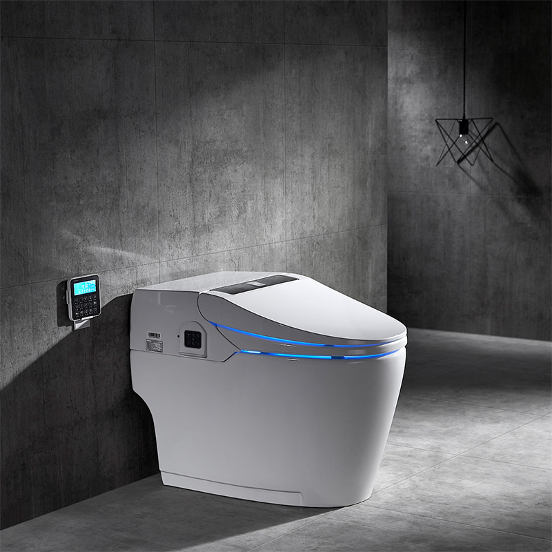 micro switch used in smart toilet.jpg