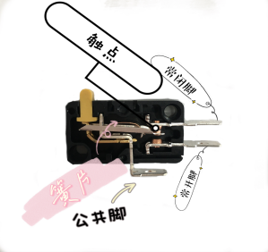 微動(dòng)開(kāi)關(guān)結(jié)構(gòu).png